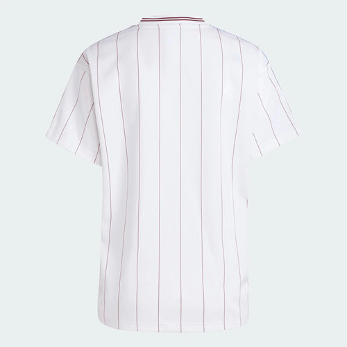 adidas Aston Villa Icon Jersey 25/26