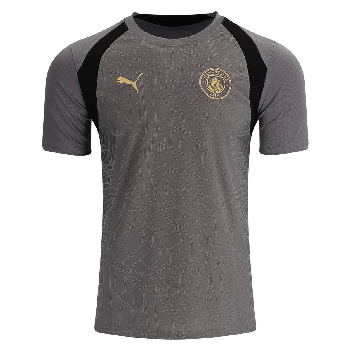 Puma Manchester City Training Jersey 2 26/27