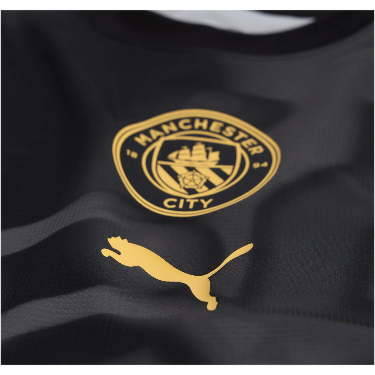 Puma Manchester City Pre Match Training Jersey 2 26/27